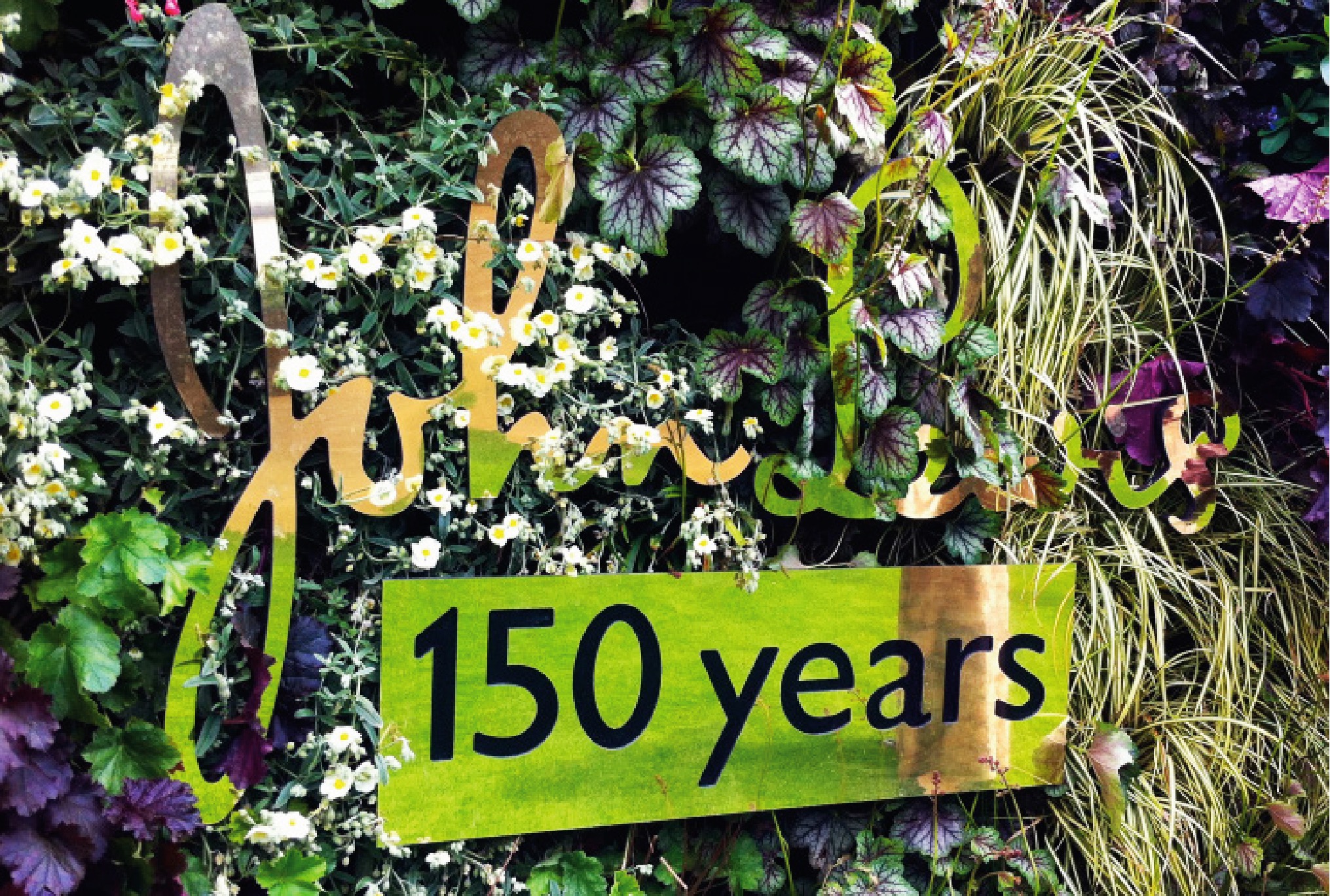 Banner celebrating John Lewis' 150 years